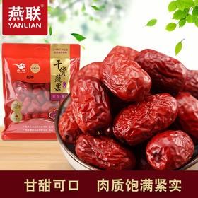 【广州帮扶】燕联丨红枣 508g