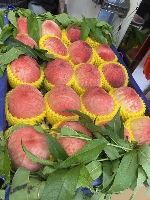 宏丰精选 水蜜桃，口感甜，活动价‼️‼️10元3斤 商品图7