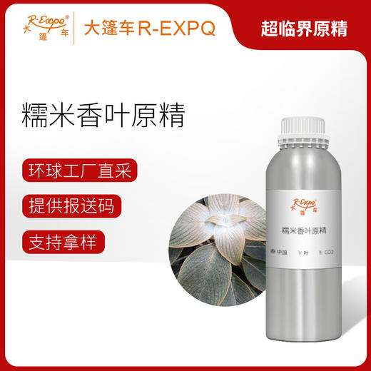 糯米香叶原精 Strobilanthes Tonkinensis Lindau  产地直采批发 商品图0