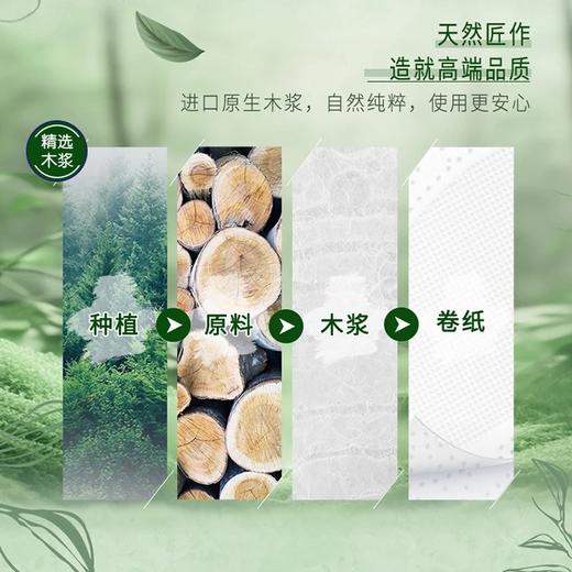【3件减169元】得宝果木香味卷纸160克16卷 商品图6