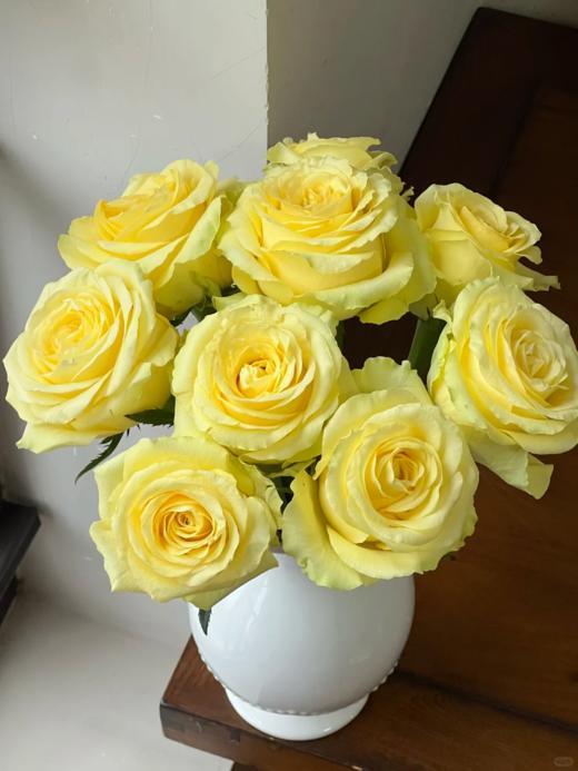 精品花材浪漫沙滩玫瑰A级 商品图0