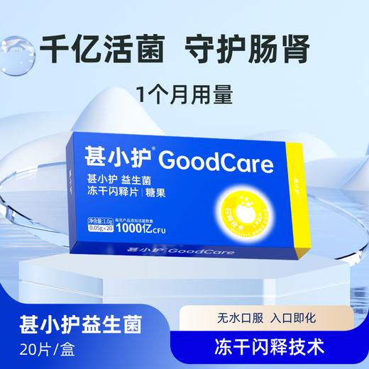 「甚小护」益生菌成人冻干闪释片糖果1000亿菌株活菌率高入口即化 商品图0
