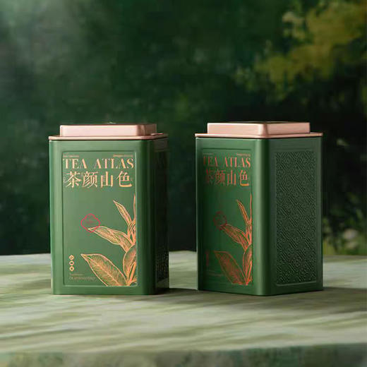 茶颜山色【两方罐 通版 深绿色】 30元一套/一箱16套 商品图2