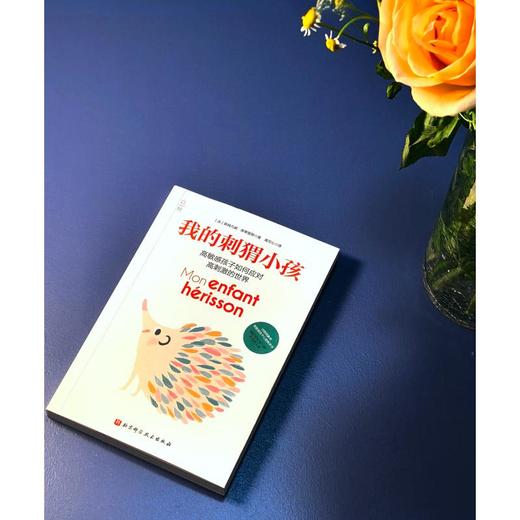 我的刺猬小孩 商品图2