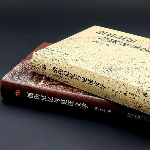 创伤记忆与见证文学 陶东风 著 北京大学出版社 商品图4