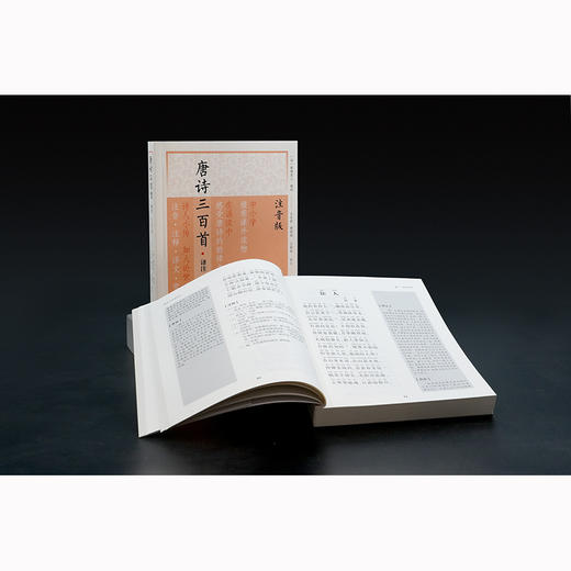 唐诗三百首译注(注音版) 商品图3