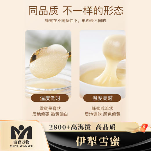新疆黑蜂蜂蜜系列 商品图5