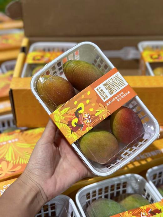 小金凤芒果  香甜多汁 商品图1