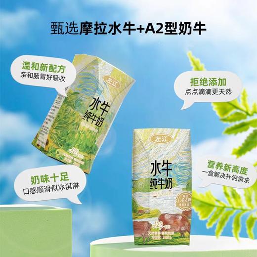 【下单送品鉴装210ml*1盒】左江A2酪蛋白水牛高钙纯牛奶  210ml*12瓶/提 （2提十堰主城区包邮） 商品图3