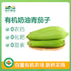 有机奶油青茄子 500g 商品缩略图0