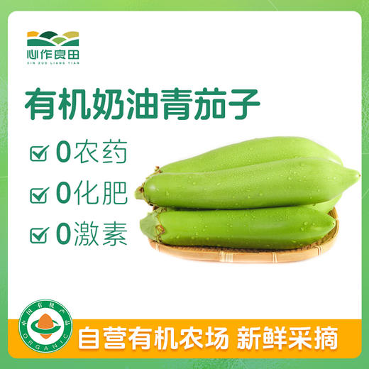 有机奶油青茄子 500g 商品图0