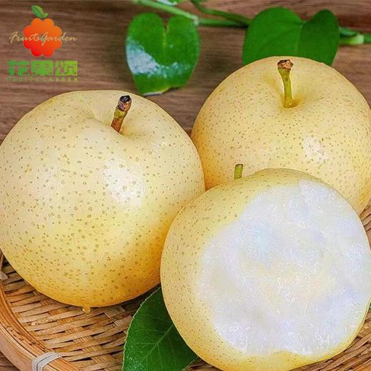 皇冠梨 商品图0