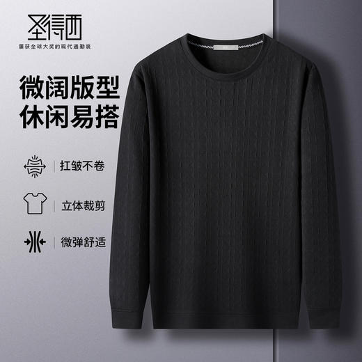 圣得西2025年秋季新款多色提花工艺休闲百搭男士圆领T恤长袖上衣 商品图4