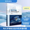电化学储能实践中的关键问题 商品缩略图0