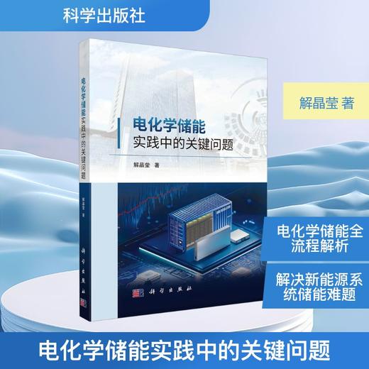 电化学储能实践中的关键问题 商品图0