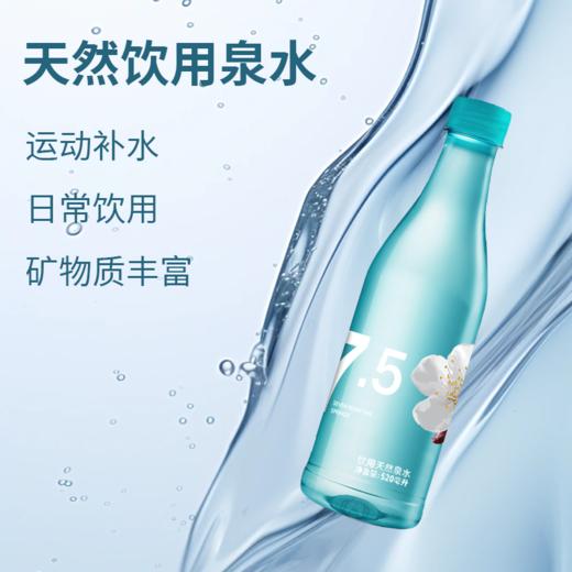 七点五饮用天然泉水高端弱碱天然泉水 塑料瓶装 整箱520ml*15瓶 商品图2