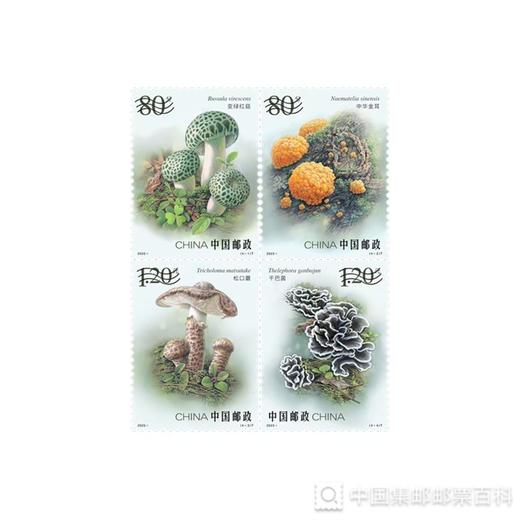 《食用菌（二）》邮票1套4枚 4套 限购1份 商品图0