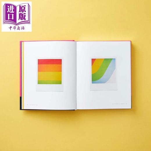 预售 【中商原版】Polaroid Now: The History and Future of Polaroid Photography 进口艺术 宝丽来现在 商品图4
