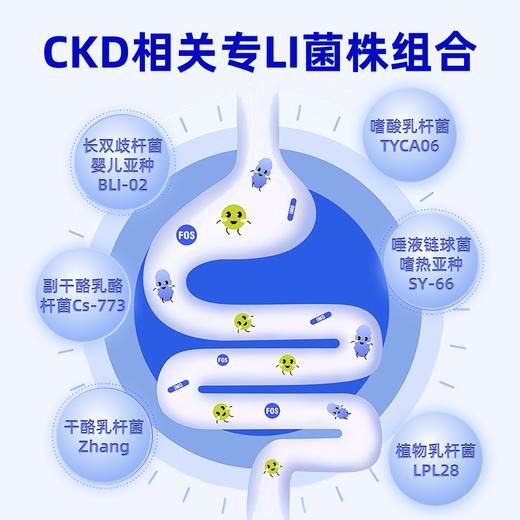 「甚小护」益生菌成人冻干闪释片糖果1000亿菌株活菌率高入口即化 商品图2