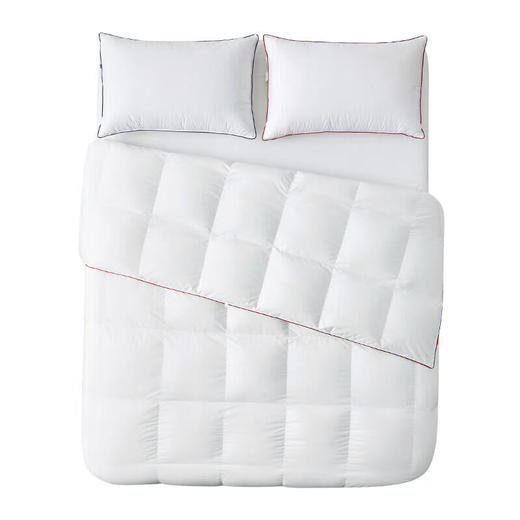 DownlandClima微控温复合鹅绒被 商品图5