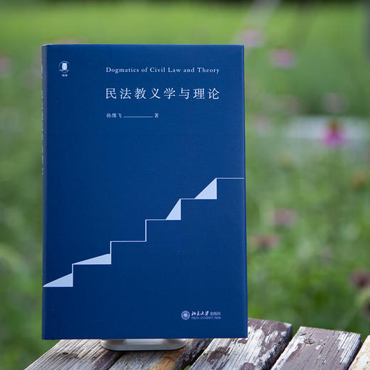 民法教义学与理论 商品图4