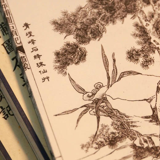 《同文书局初刊增评补图石头记》 商品图3