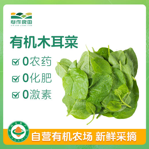 有机木耳菜500g 商品图0