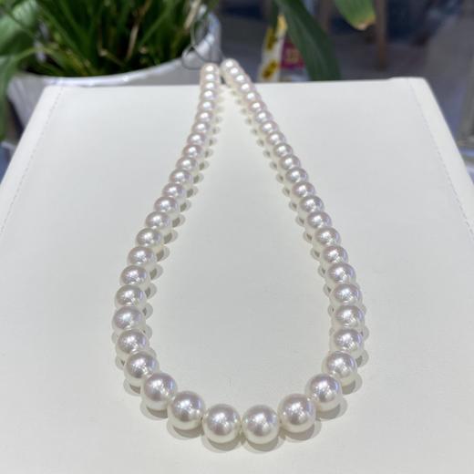 8mm-8.5mmakoya珍珠项链 商品图1
