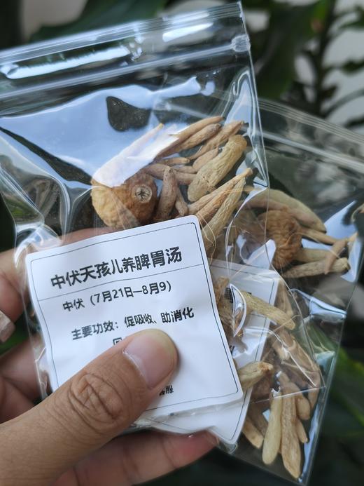 中伏·太子参汤包  5小包（仅快递发货包邮）-花茶 商品图0