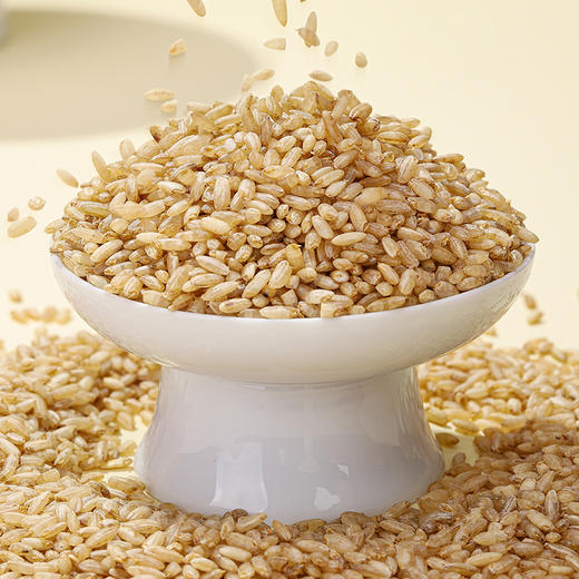 【沙垦庄园】发芽糙米·500g 商品图3