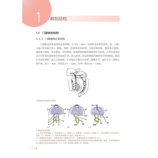 食管胃静脉曲张内镜下个体化与分层诊疗/内镜/分层诊疗/食管胃静脉曲张/韦炜主编/浙江大学出版社 商品图1