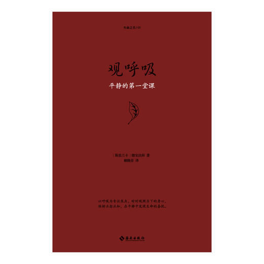观呼吸 商品图1