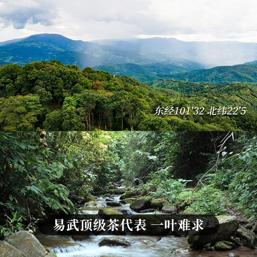 【特殊重磅福利】【老友】为答谢而生，为吸引新茶友而生，2022年掌柜私藏薄荷塘，买一饼让新朋友加入还能免费再领一饼，更多玩法联系专属客服。 商品图7