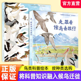 看小勺子的观鸟笔记  走跟着候鸟去旅行 鸟类科普绘本 3-6 幼儿园亲子读物 儿童绘本 将科普知识融入候鸟迁途