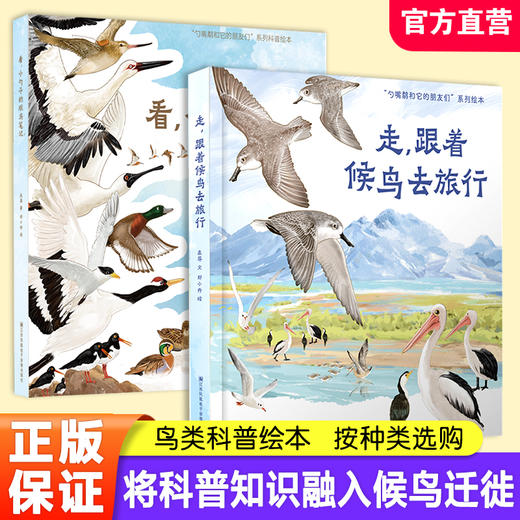 看小勺子的观鸟笔记  走跟着候鸟去旅行 鸟类科普绘本 3-6 幼儿园亲子读物 儿童绘本 将科普知识融入候鸟迁途 商品图0