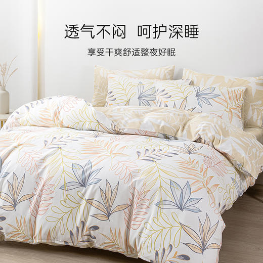2025年夏季新款雅芳婷100%全棉床上四件套纯棉简约风被套床笠套件 商品图2