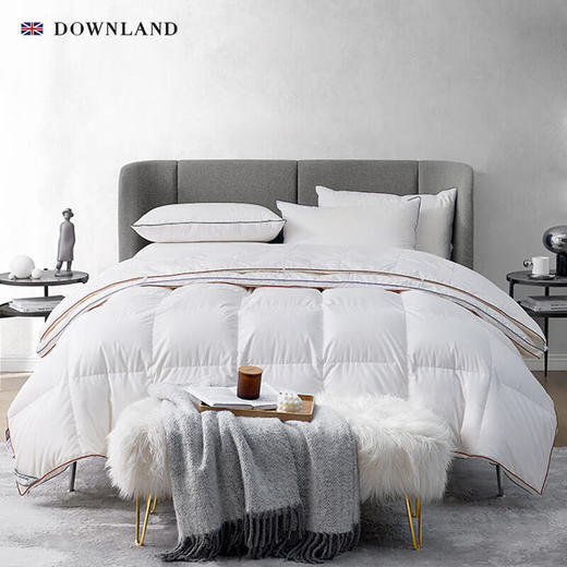 DownlandClima微控温复合鹅绒被 商品图0