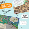 【注音版】给孩子的法布尔昆虫记（全10册） 赠：昆虫贴纸一张  20个昆虫故事260幅彩绘大图100+昆虫知识 商品缩略图4