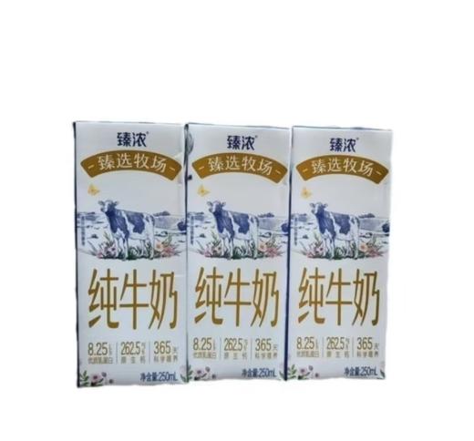 伊利 臻浓臻选牧场纯牛奶250ml×12盒整箱 商品图1