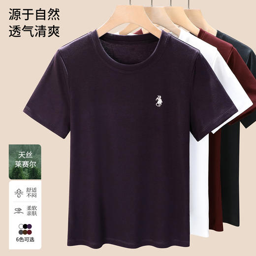 「自」全新升级【铂金会员109/天猫139/差价30】(04350)洛诗琳天丝时尚小马刺绣圆领T恤2025夏季新款莱赛尔短袖上衣 商品图1