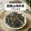 2025年春茶 困鹿山核心产区乔木春茶醇料散茶50克/罐装 商品缩略图1
