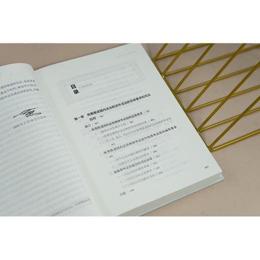 司法实践中的涉外法治 肖凯等著 法律出版社 商品图3