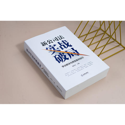 新公司法实战破局：争议解决与典型案例指引 陈科军主编 法律出版社 商品图1