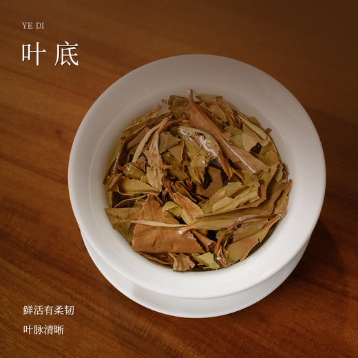 懂茶帝老白茶陈韵贡眉砖福鼎白茶磻溪吴洋山2020年陈韵贡眉砖250g 商品图3