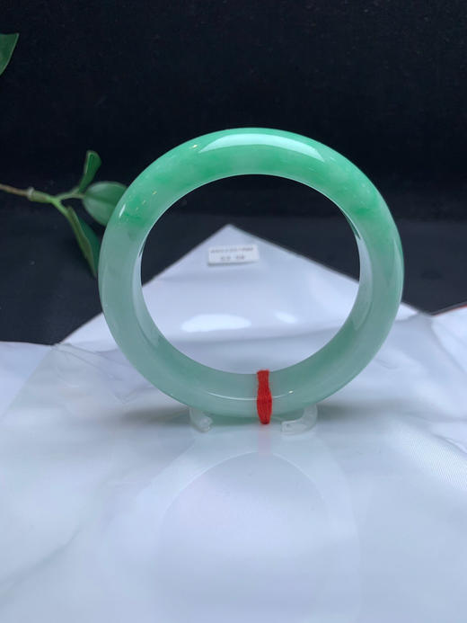 620451，53.5果绿底手镯，大半圈带绿底色，底妆干净 商品图2