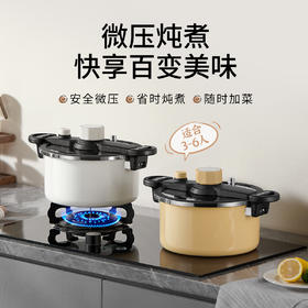 德世朗6L钛珐琅微压营养快炖锅 | 一锅＝高压锅+汤锅+电饭煲，焖、煲、炖、煮样样行
