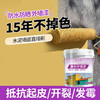 乳胶漆外墙专用涂料防水防晒不变色室外墙漆水性环保墙面翻新漆 500g 商品缩略图0