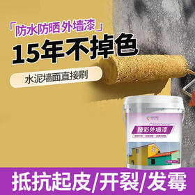 乳胶漆外墙专用涂料防水防晒不变色室外墙漆水性环保墙面翻新漆 500g