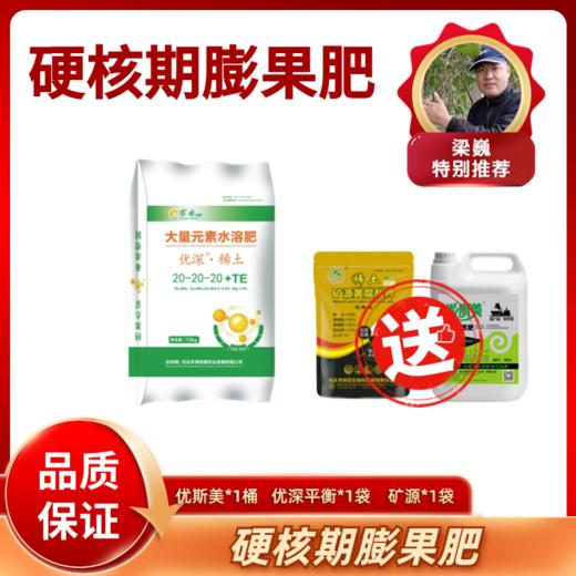 硬核期膨果肥 商品图0
