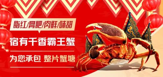 【中秋节】霸王蟹 湖鲜活蟹 精品洪泽湖大闸蟹 蟹卡 商品图7